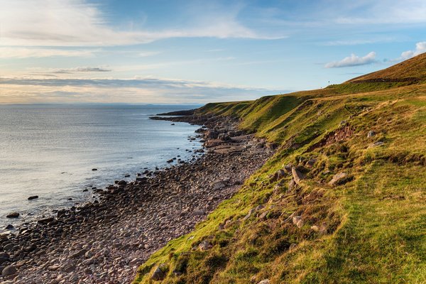 How to Perfect a Luxurious Truffle Risotto with Homemade Chicken Stock?