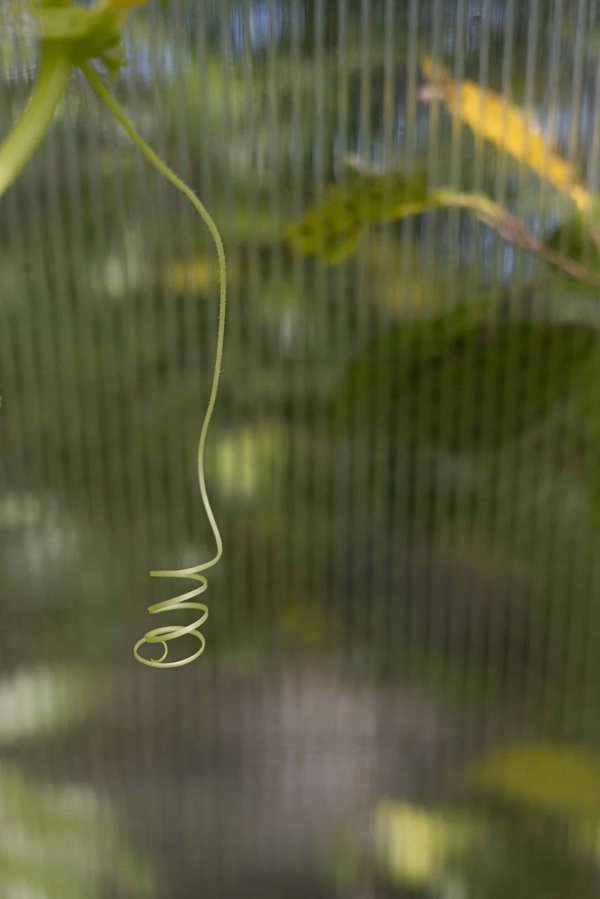 How to tailor strength training for post-menopausal female runners?